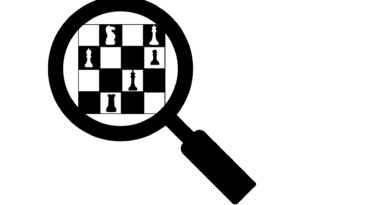 The present and future of our game depend on the creation of a safe environment where all players feel safe to show the best of their abilities. The fight against cheating is a top priority and FIDE is working hard towards a fraud-free chess community. We must be united in the fight for fair play and consistent in its pursuit.